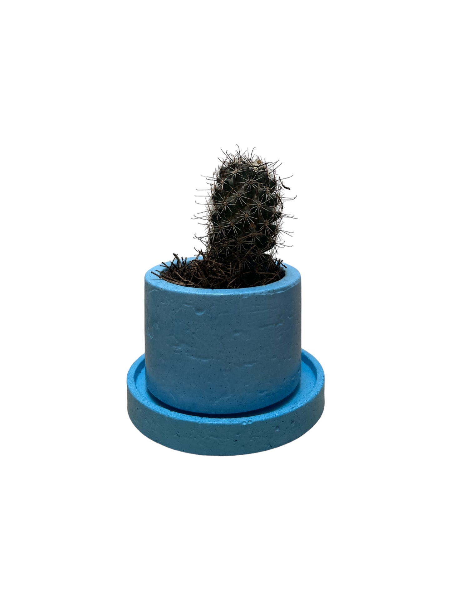 KIT405 BASE REDONDA /MACETA CACTUS O SUCULENTA