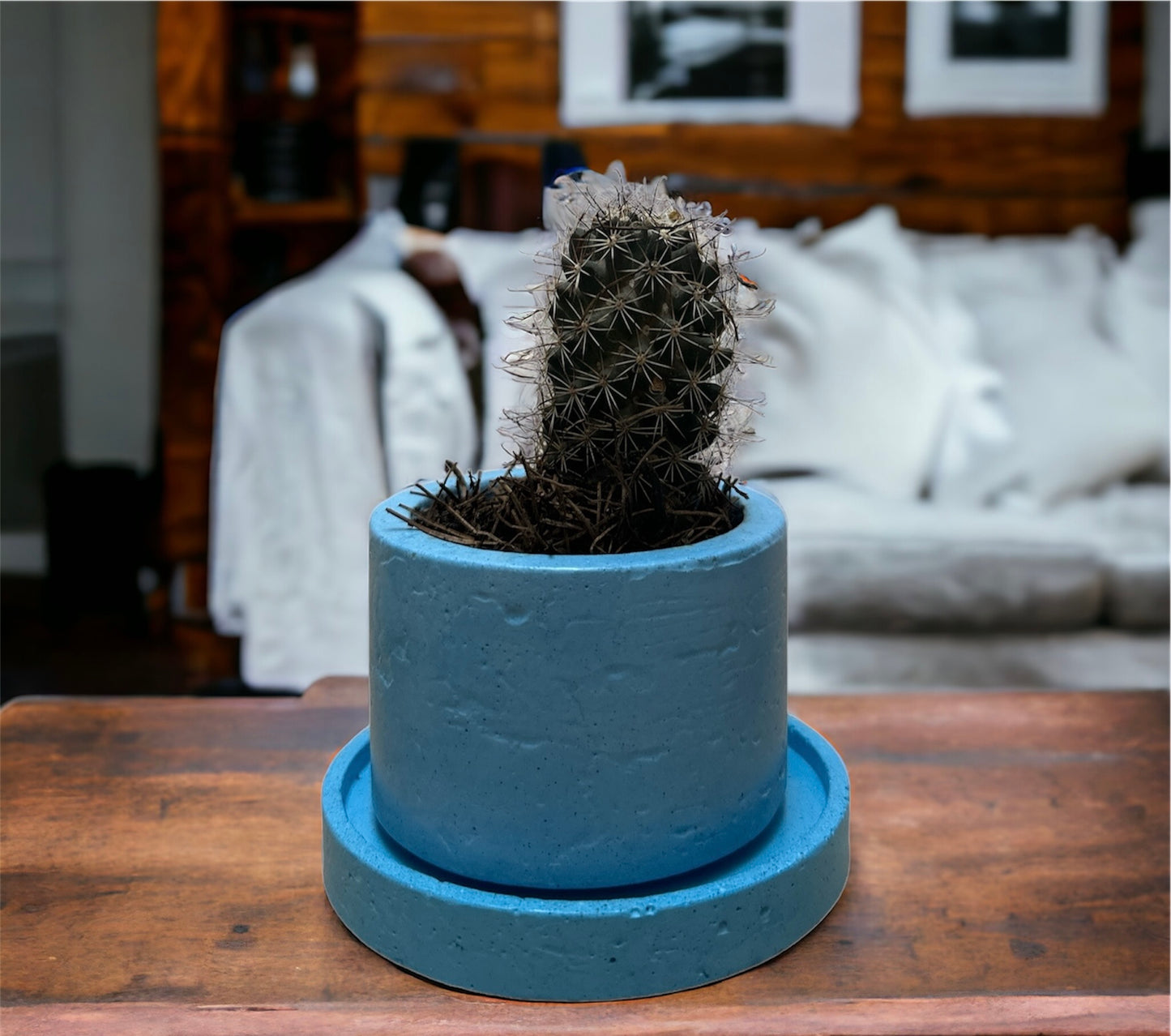 KIT405 BASE REDONDA /MACETA CACTUS O SUCULENTA