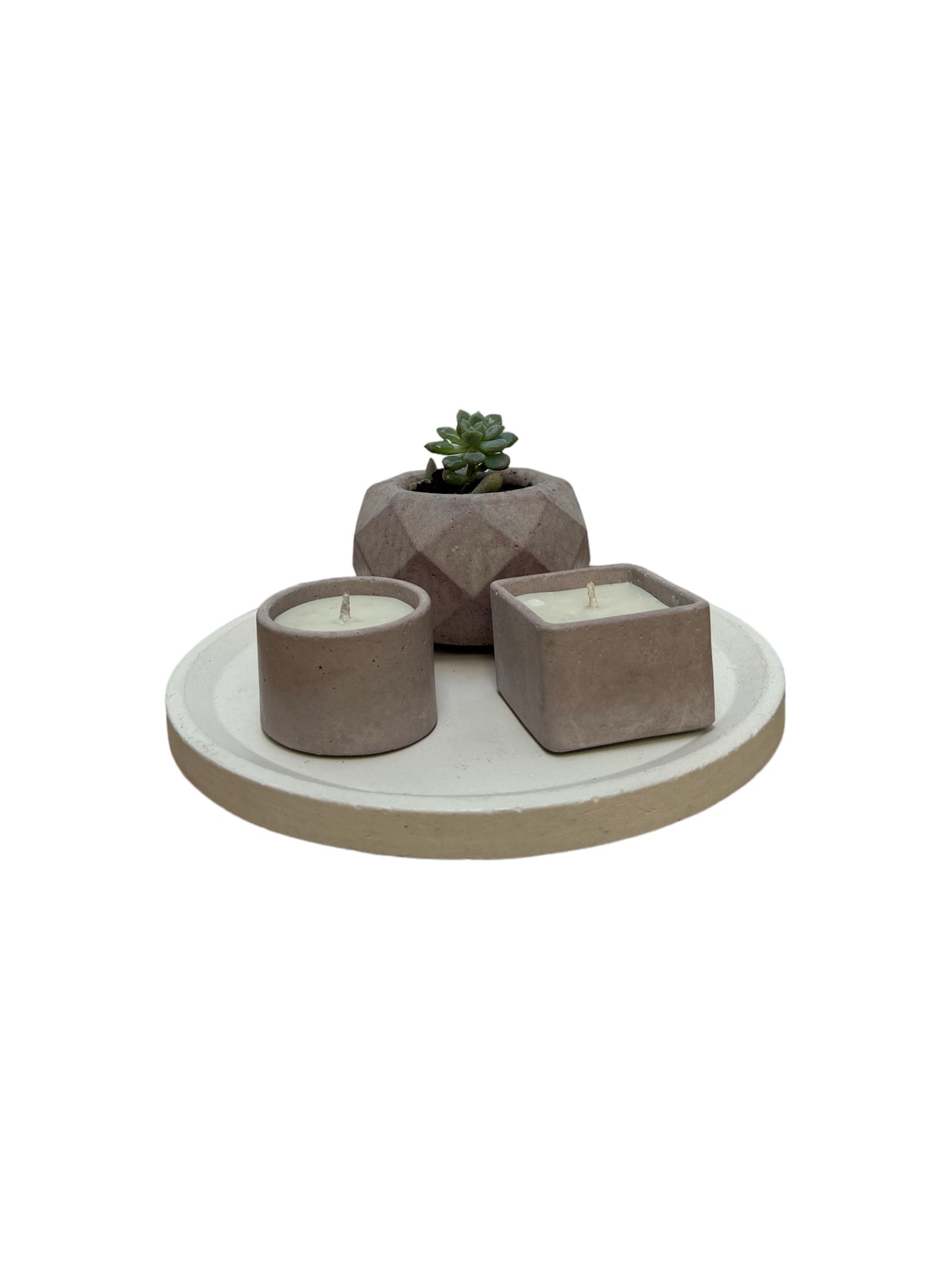 KIT005 BASE/MACETA CON SUCULENTA / VELAS DE SOYA MIXTAS