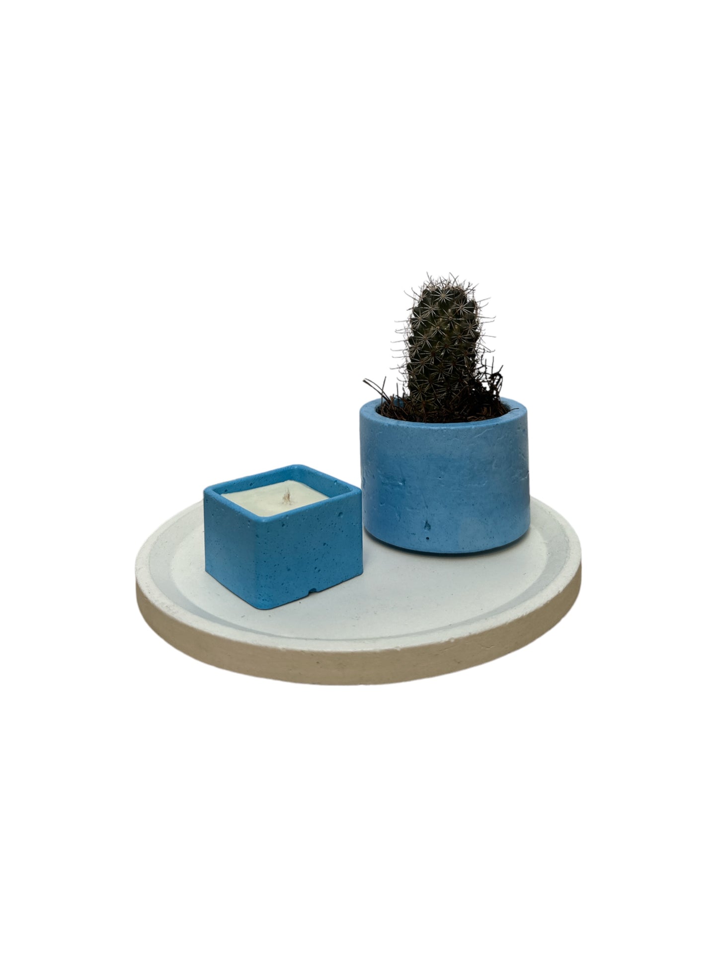 KIT006 BASE/MACETA CON CACTUS/VELA DE SOYA