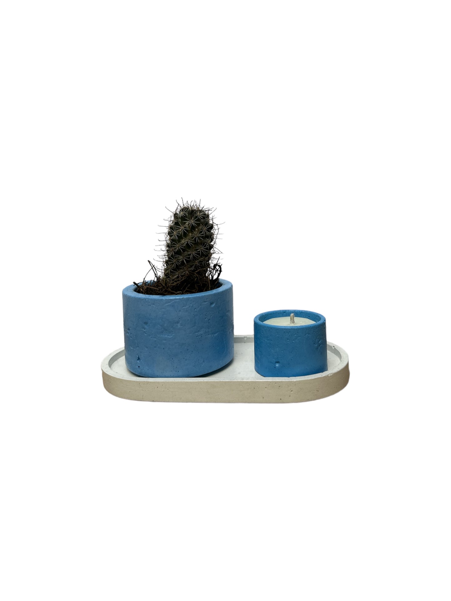 KIT202 BASE OVALADA/MACETA CON CACTUS/VELA DE SOYA