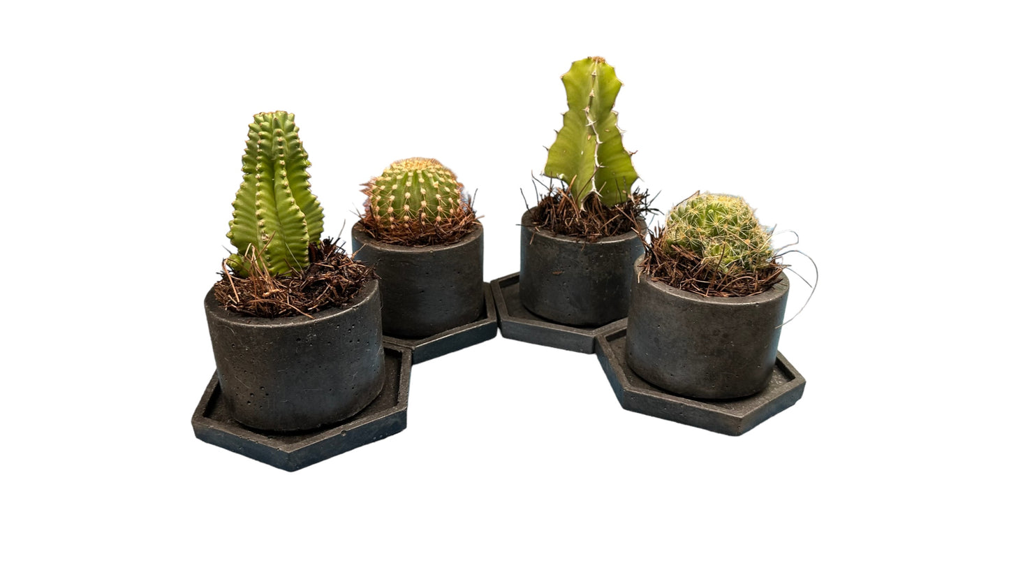 KIT701 MACETAS CILINDRICAS CON BASE