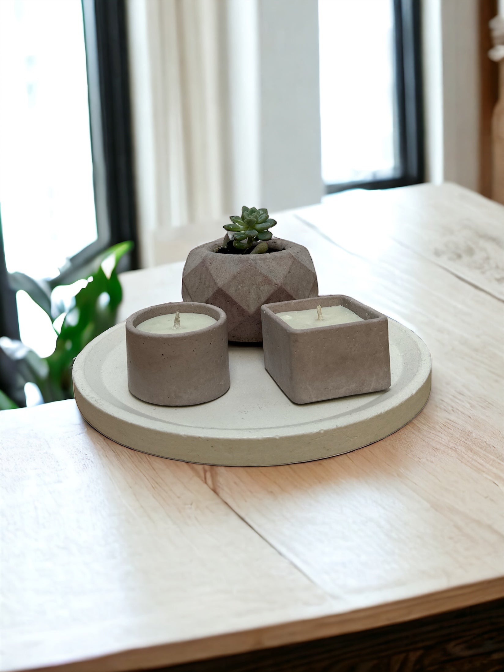 KIT005 BASE/MACETA CON SUCULENTA / VELAS DE SOYA MIXTAS