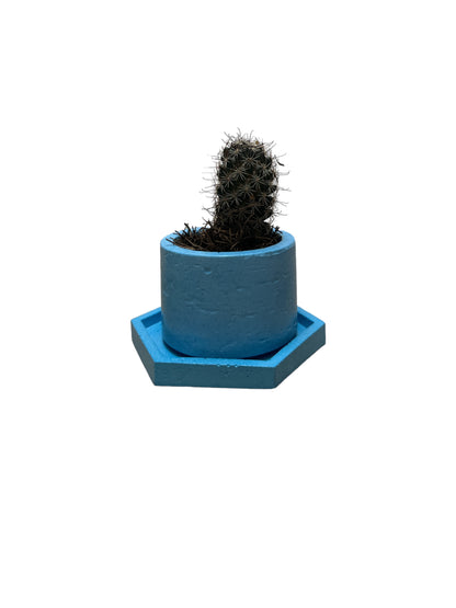 KIT305 BASE HEXAGONAL /MACETA CACTUS O SUCULENTA