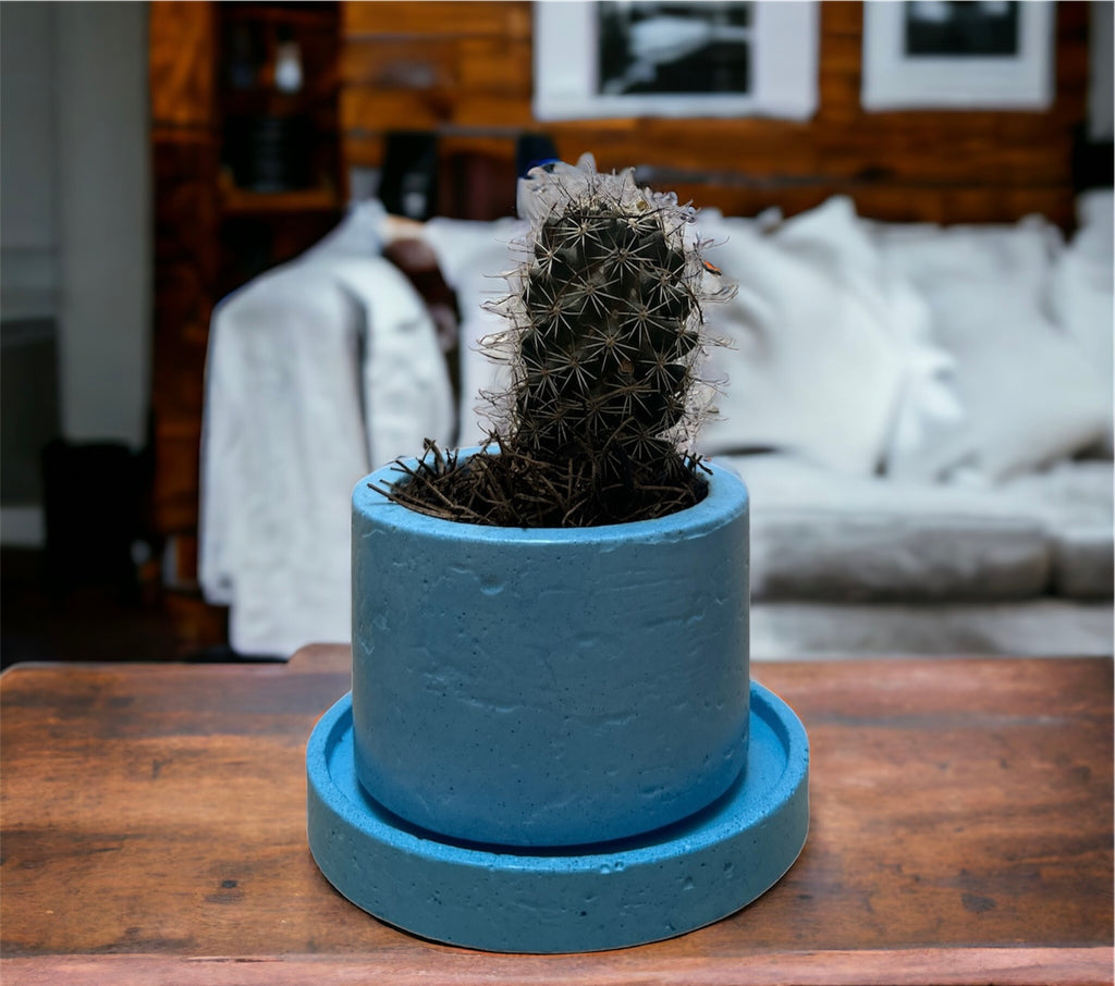 KIT405 BASE REDONDA /MACETA CACTUS O SUCULENTA