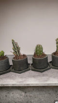KIT701 MACETAS CILINDRICAS  CON BASE