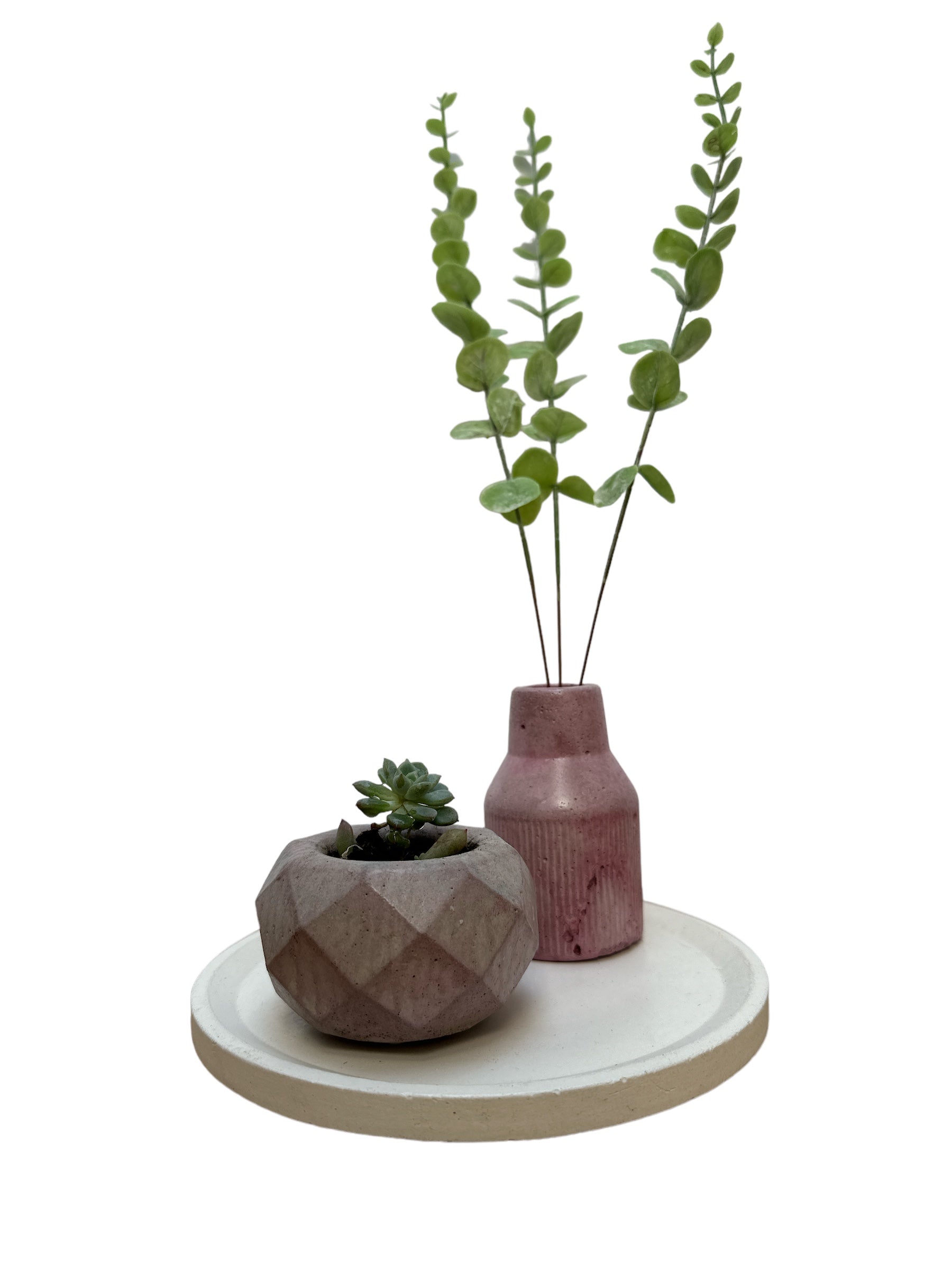 KIT008 BASE/FLORERO/MACETA CON SUCULENTA